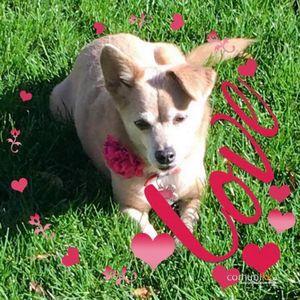 Meet your Posher, Lori